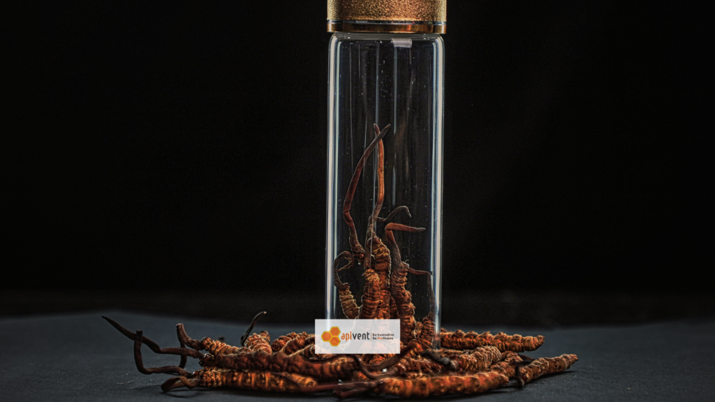 Cordyceps Jamur ini mengandung beragam antioksidan, enzim, dan vitamin. 