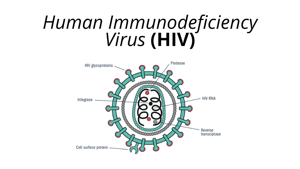 virus hiv