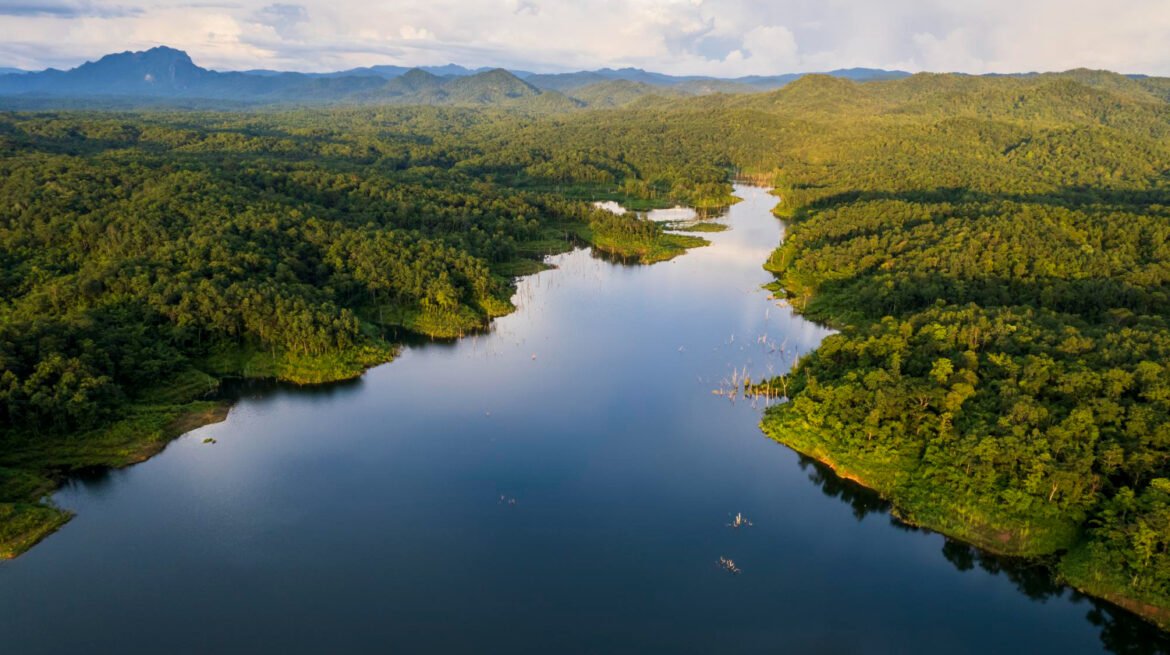 hutan dan sungai amazon brazil