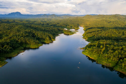 hutan dan sungai amazon brazil