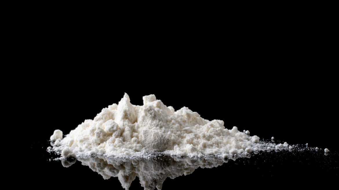 nano chitosan powder