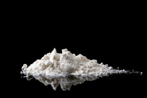 nano chitosan powder