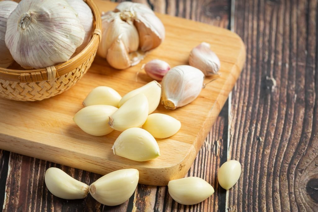 Bawang Putih (Allium sativum)