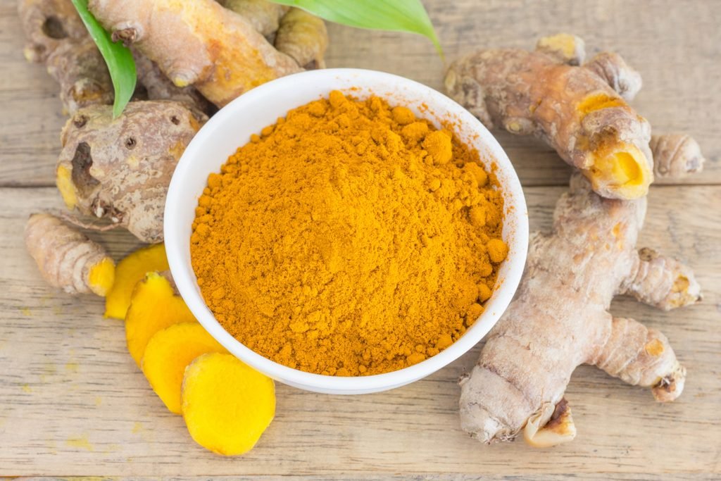 Temulawak (Curcuma zanthorrhiza)